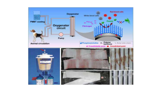 1685412093238610.png image.png