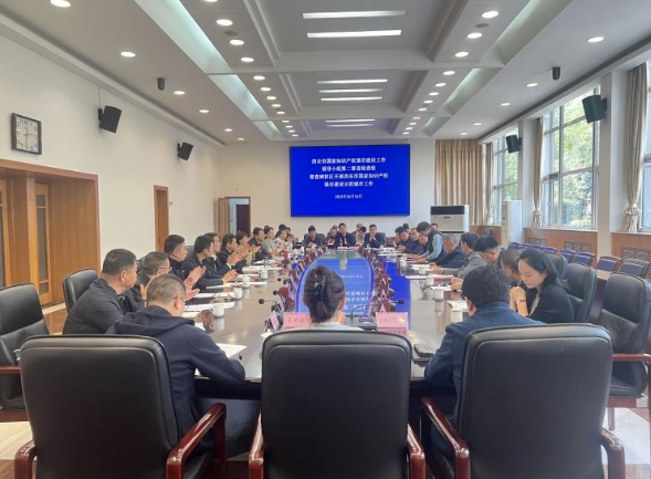 1697073717859628.jpg 1697073432414.jpg